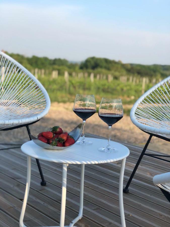 Bed and Breakfast Chez Henri Belves-de-Castillon Экстерьер фото
